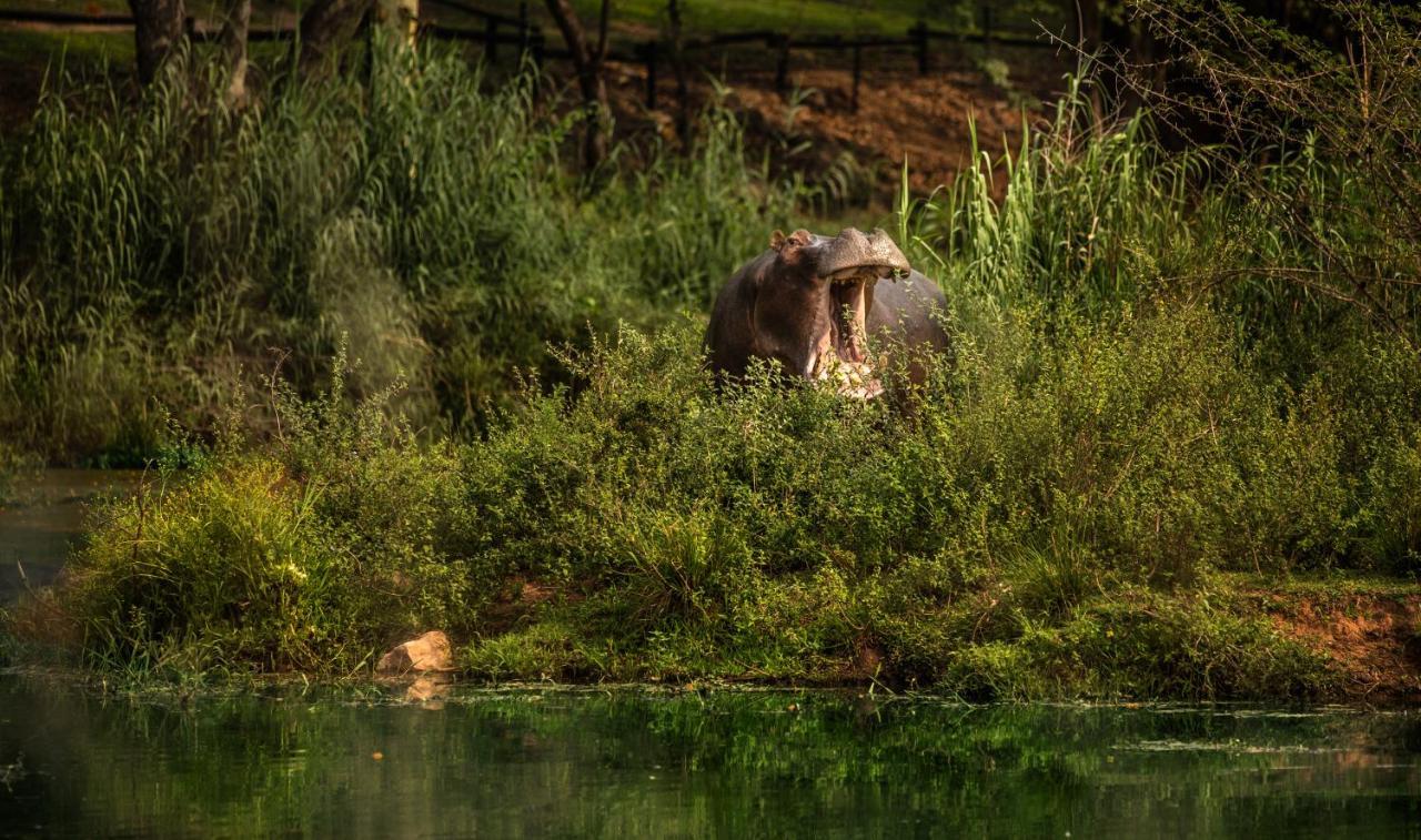 Sabi River Sun Resort Hazyview Bagian luar foto