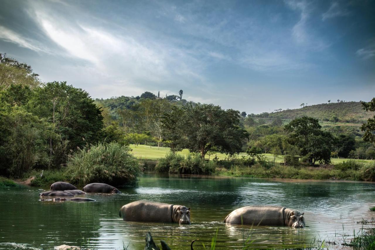 Sabi River Sun Resort Hazyview Bagian luar foto