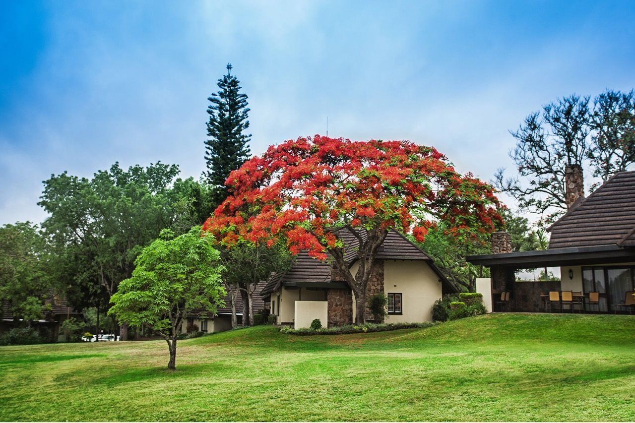 Sabi River Sun Resort Hazyview Bagian luar foto